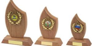 Wooden Trophies