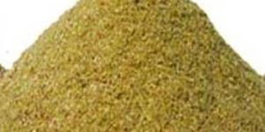 Coriander Powder