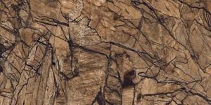 Polished Porcelain Tiles