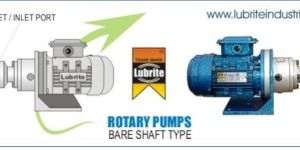 Leading Rotary Pump