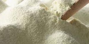 Skimmed Milk Powder
