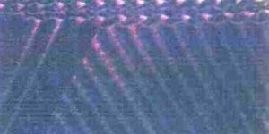 Bio Pac Media (PP.Sa. 19.79)