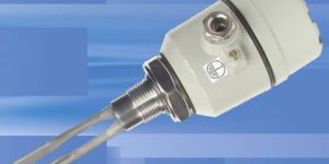 Vibrating Fork Level Switches