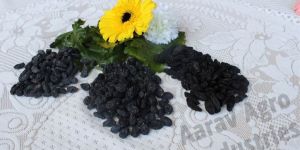 Black Raisins
