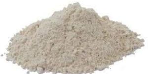White Onion Powder