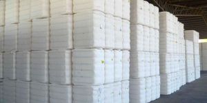 Raw Cotton Bales