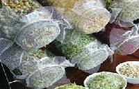 Homeopathic Pharmaceuticals