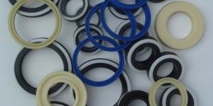 Oil Seals