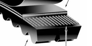 Automotive Joint Belts