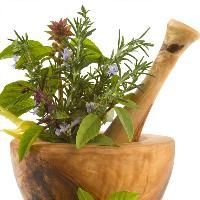 Ayurvedic Medicinal Herbs