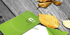 Corporate Business Cards Both Side Printing