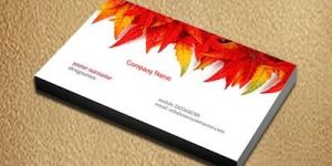 Premium Business Cards One Side Printing