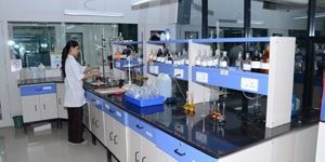 Environmental Laboratory Services