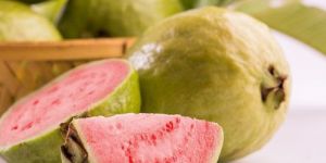 Guava Pulp