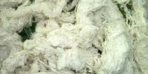 Cotton Waste