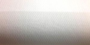 White House (No.137)