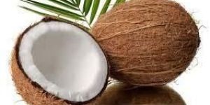 Fresh Coconut