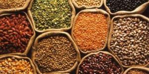 Indian Pulses