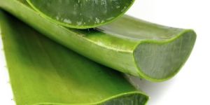 Aloe Vera Gel