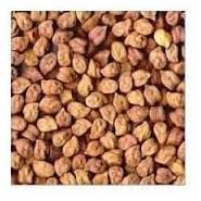 Chick Peas (Kabuli Chana)