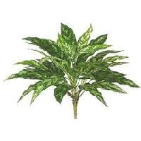 Artificial Plant