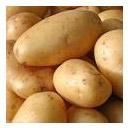 Fresh Potato