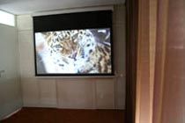 Projection Screen
