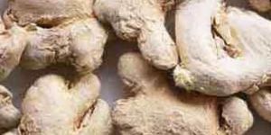 Dry Ginger