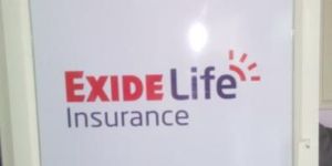 One Way Vision Printing Services