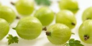 Indian Gooseberry