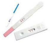 Hcg Pregnancy Test Kit