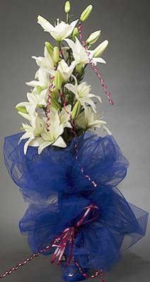 Heart Touching Flowers