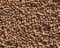 Desi Kala Chana