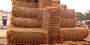 Coir Fibre
