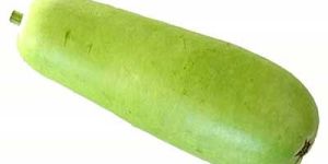 Fresh Bottle Gourd