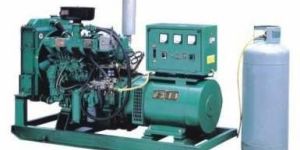 Gas Generator Sets