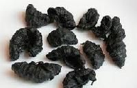 Dried Garcinia Indica