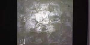 Mother of Pearl Wall Panels