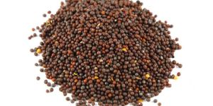 Mustard Seeds