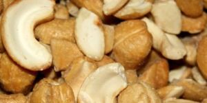 Scorched Pieces Seconds Cashew