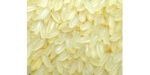 Swarna Short Grain Rice