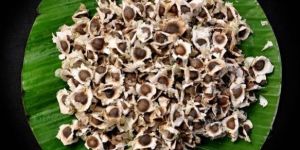 Moringa Seeds