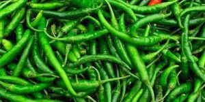 Fresh Green Chilli