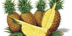 Fresh Pineapple