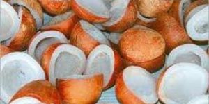 Coconut Copra