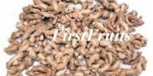 Dry Ginger