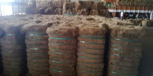Golden Brown Coconut Coir Fiber