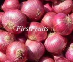 Red Onion