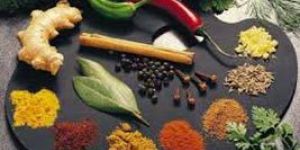 Indian Spices