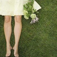 Non Toxic Fertilizer